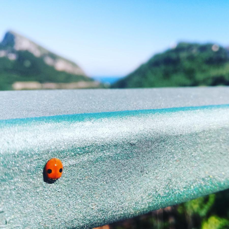 La Roccia Incantata Amalfi Coast Vietri Bagian luar foto