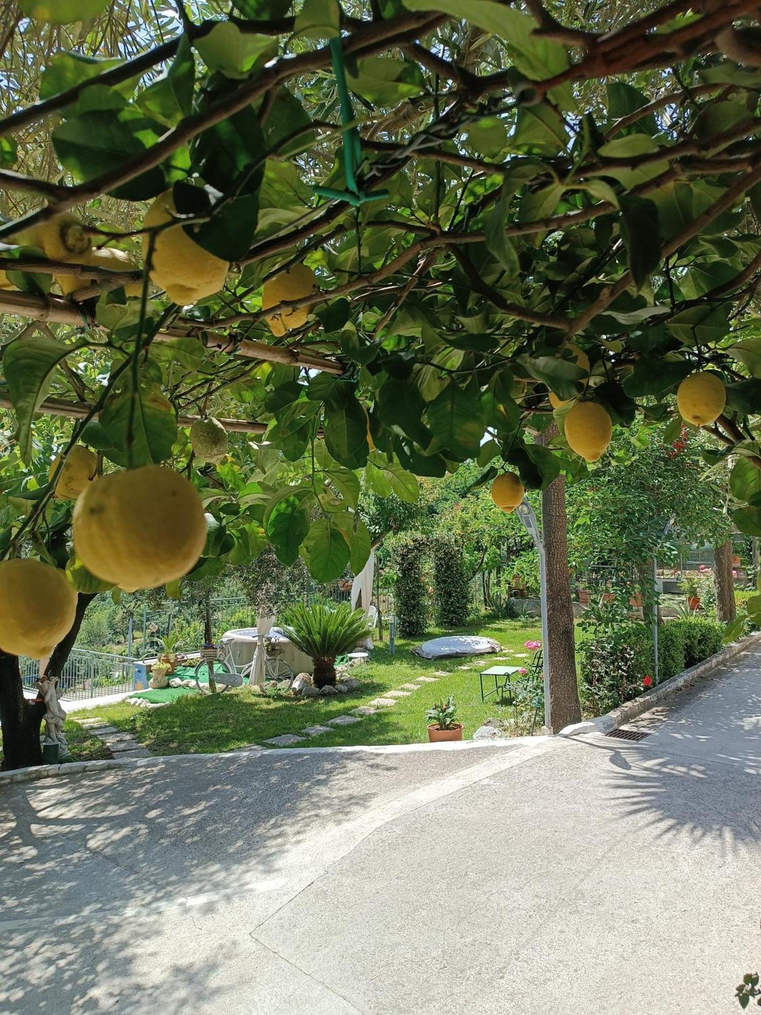 La Roccia Incantata Amalfi Coast Vietri Bagian luar foto
